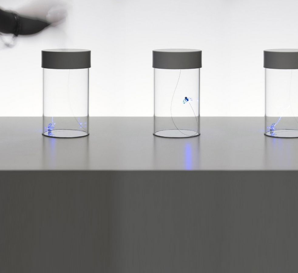 Profumo d'Estate - a table lamp