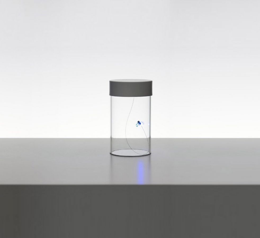 Profumo d'Estate - a table lamp